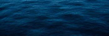 BISH Art x Cornish Sea Salt image